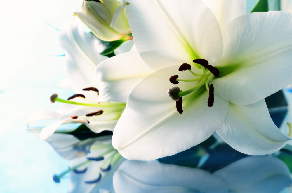 Funeral Director Doncaster
